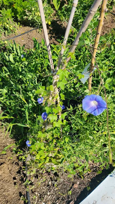 Geods R.V. Campground Picture 5