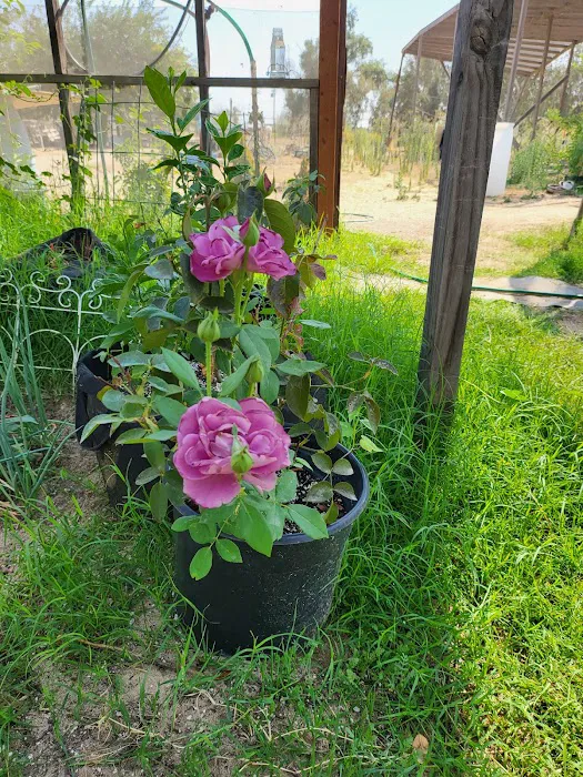 Geods R.V. Campground Picture 9