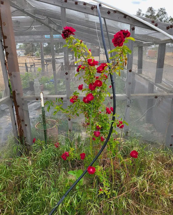 Geods R.V. Campground Picture 6