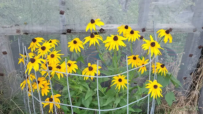 Geods R.V. Campground Picture 7