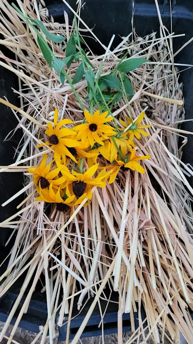 Geods R.V. Campground Picture 4