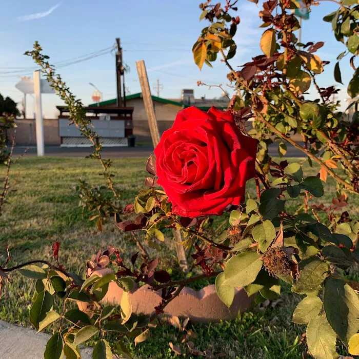 Park View Mobile Home Park and RV Park Picture 10