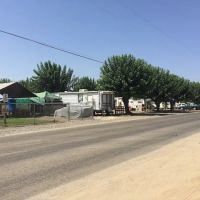 Shady Acres Mobile Home & RV Park ico