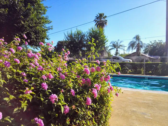 Fresno Mobile Home & RV Park Picture 4