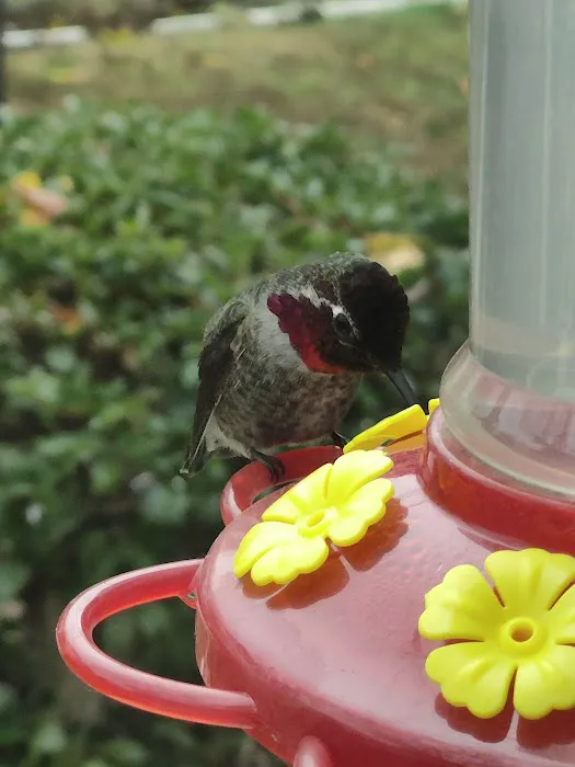 Fresno Mobile Home & RV Park Picture 2