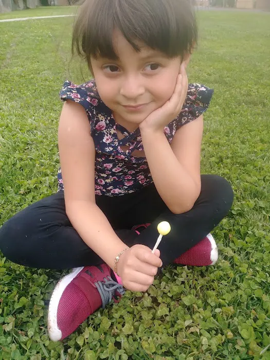 Villa Fresno Mobile Home Park Picture 9