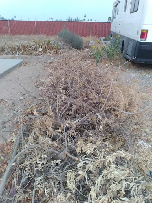 New Horizons Mobile RV Park Picture 8