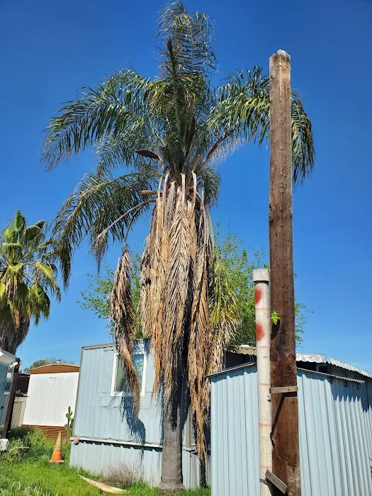 New Horizons Mobile RV Park Picture 9