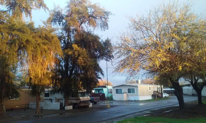Three Palms Mobile Home & RV Park Picture 4