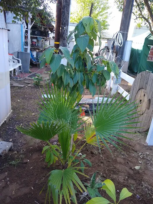 Westbrook Mobile Home Park Picture 3