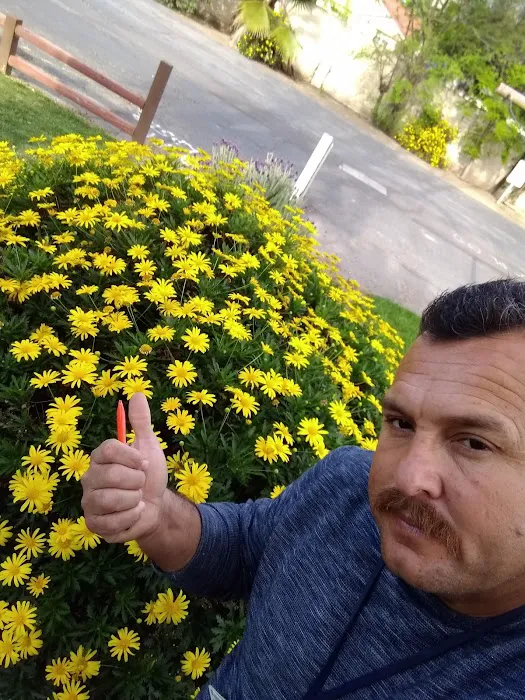 Westbrook Mobile Home Park Picture 1