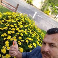 Westbrook Mobile Home Park ico