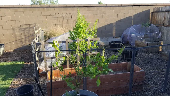 Magnolia Gardens Mobile Home Park Picture 2