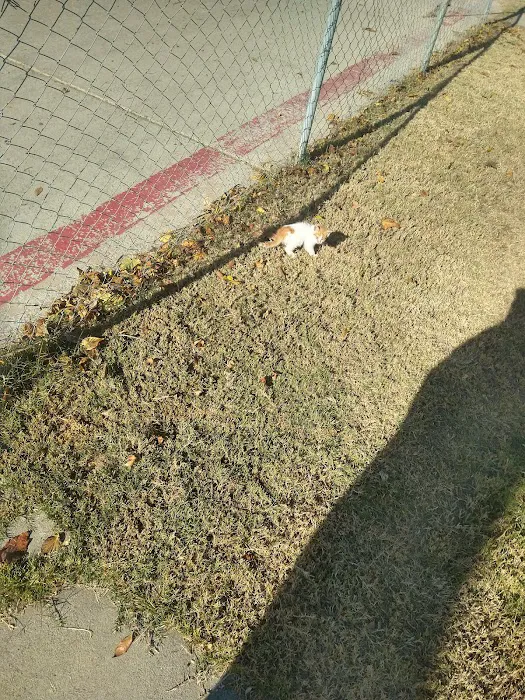 Kings Mobile Estates Picture 5