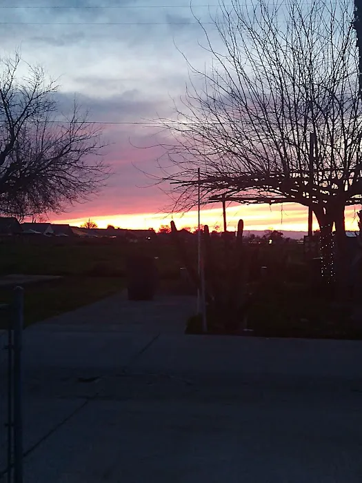 Kings Mobile Estates Picture 1