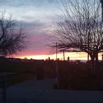 Kings Mobile Estates