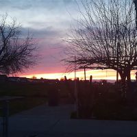 Kings Mobile Estates ico