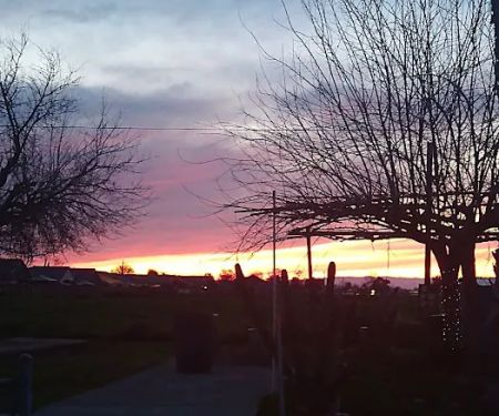 Kings Mobile Estates