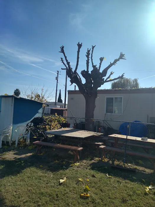 Kings Mobile Estates Picture 3