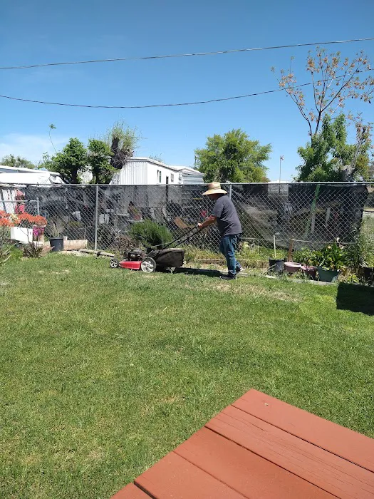 Kings Mobile Estates Picture 7