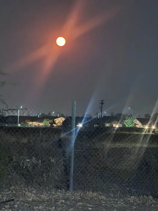 Lemoore Mobile Home Park Picture 7