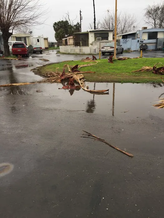 Sunset Vista Mobile Home Park Picture 5