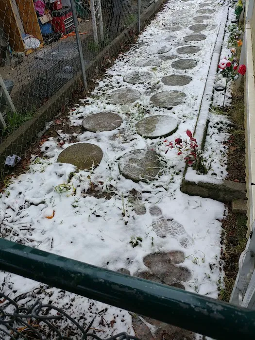 Sandy Creek Village Picture 5