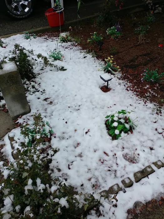 Sandy Creek Village Picture 3