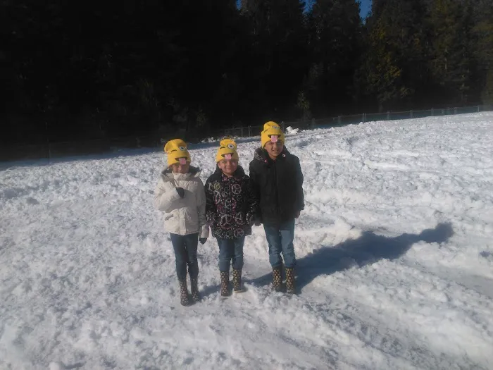 Ponderosa Trailer Park Picture 1