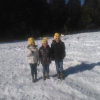 Ponderosa Trailer Park ico