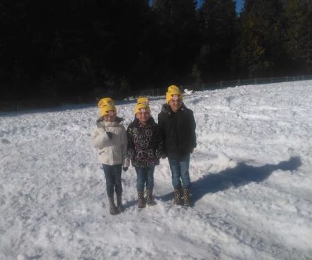 Ponderosa Trailer Park