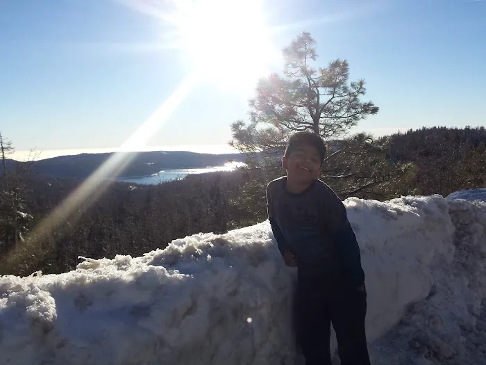 Ponderosa Trailer Park Picture 2