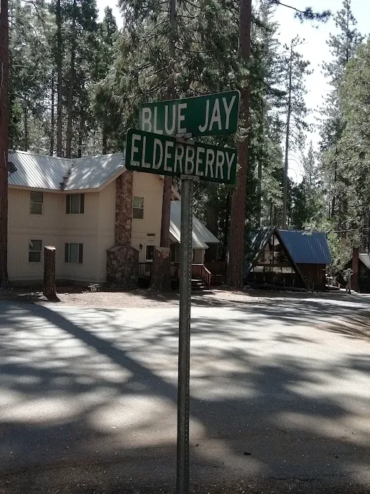 Ponderosa Trailer Park Picture 4