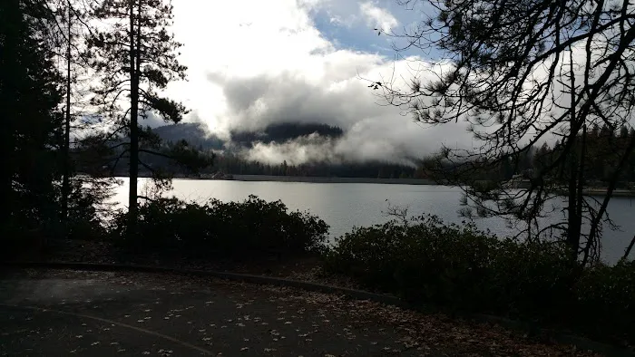 Ponderosa Trailer Park Picture 9