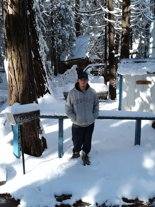 Ponderosa Trailer Park Picture 7