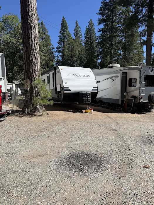 Ponderosa Trailer Park Picture 10