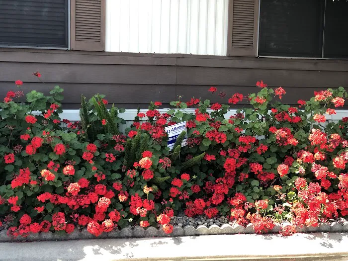 San Joaquin Village Mobile Picture 6