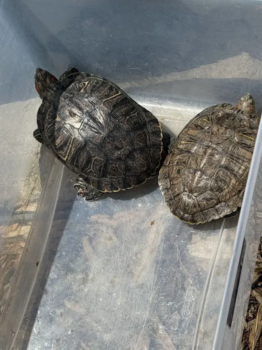 Westlake Park Picture 9