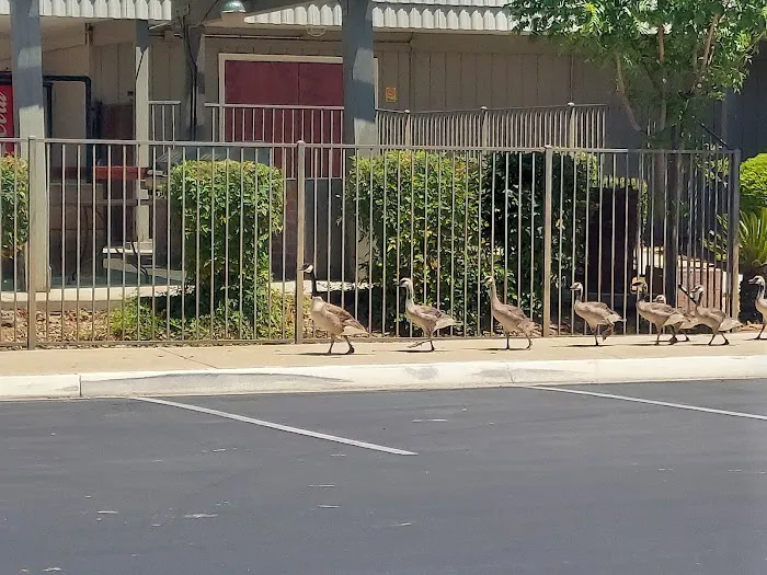 Westlake Park Picture 6