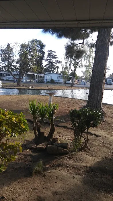 Westlake Park Picture 10