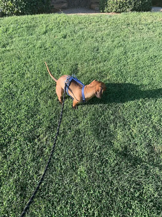 Sunset West Community Picture 5