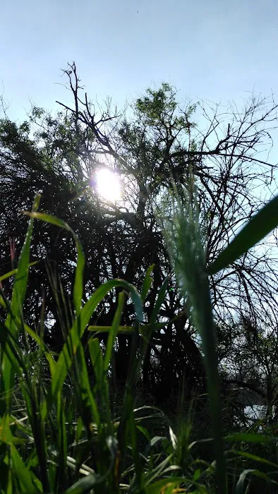 Wildwood Mobile Home Park Inc Picture 2