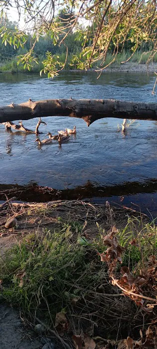 Wildwood Mobile Home Park Inc Picture 4