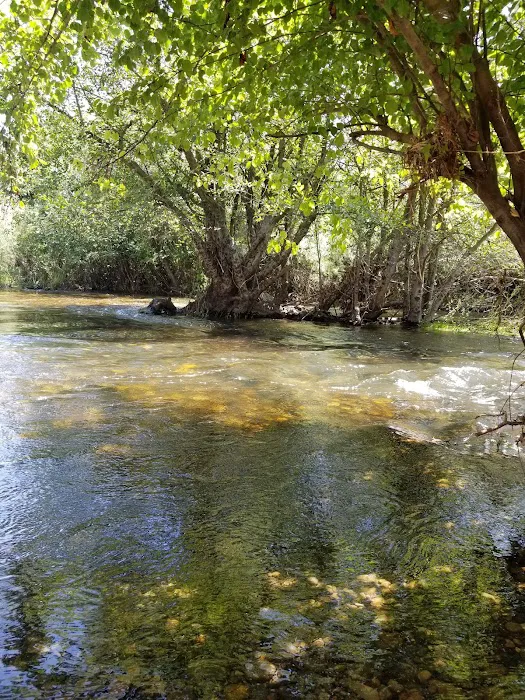 Wildwood Mobile Home Park Inc Picture 3