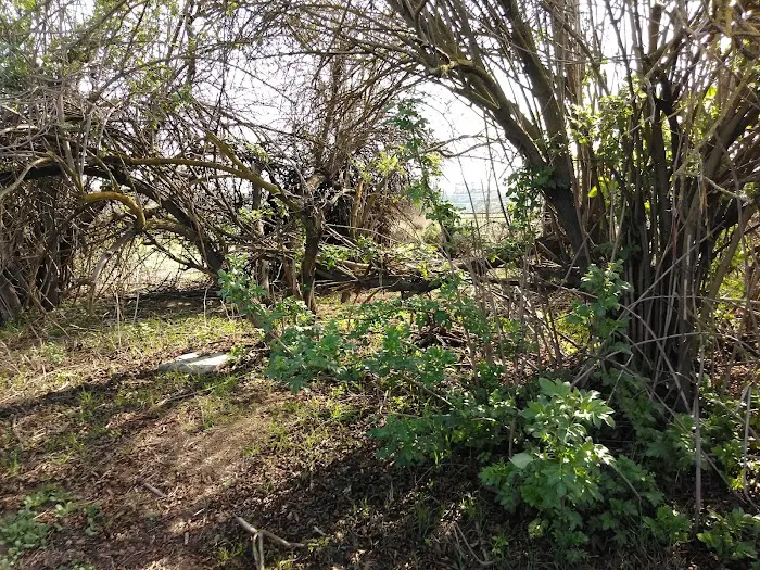 Wildwood Mobile Home Park Inc Picture 1