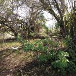 Wildwood Mobile Home Park Inc