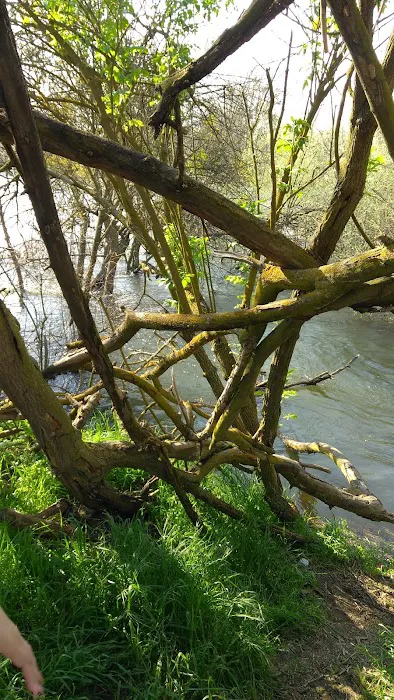 Wildwood Mobile Home Park Inc Picture 7