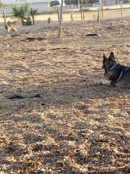 Ellyson RV Park Picture 7