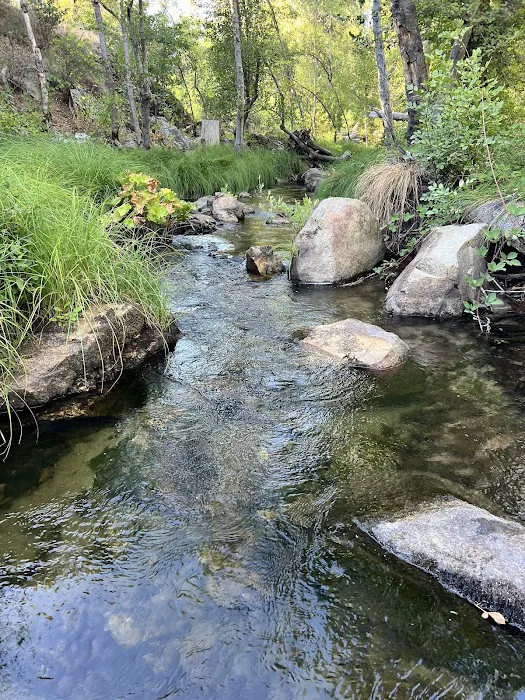 Bass Lake Mobile Park Picture 4