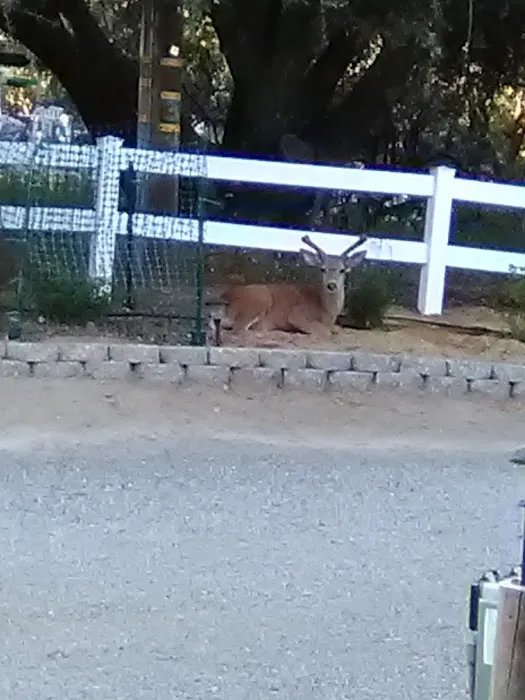 Sierra Hide Away Mobile Home Picture 2